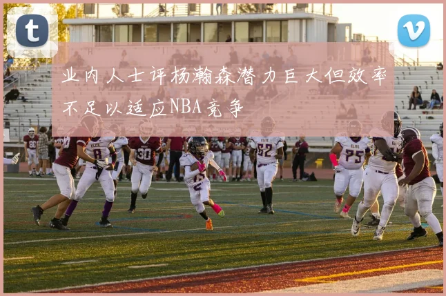 业内人士评杨瀚森潜力巨大但效率不足以适应NBA竞争