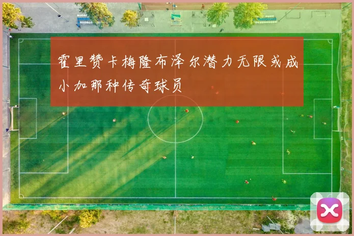 霍里赞卡梅隆布泽尔潜力无限或成小加那种传奇球员